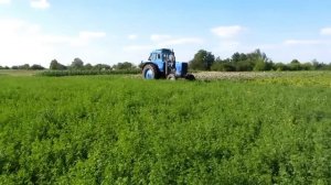 косим люцерну сегментной косилкой. МТЗ 80 и польская косилка