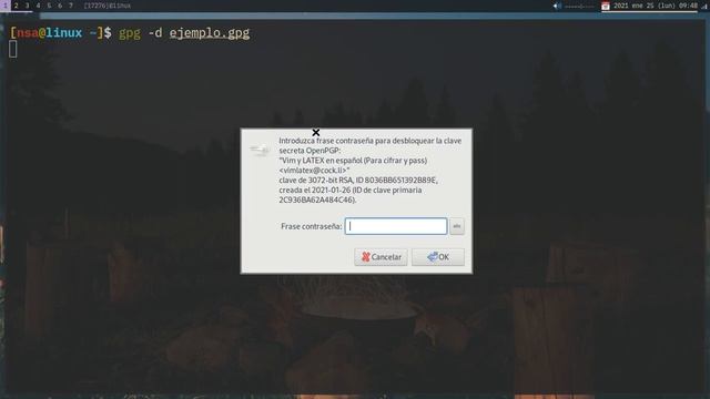 GPG + Pass: Cifrado y Contraseñas en GNU/Linux смотреть онлайн