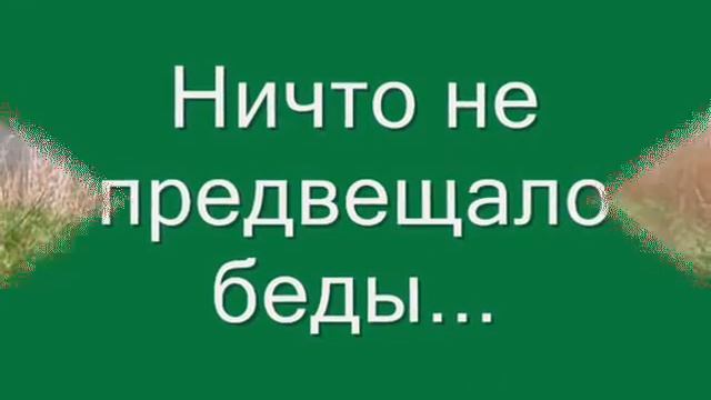 природу надо беречь 0001 смотреть онлайн