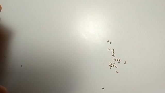 делаю тыкву из бисера смотреть онлайн