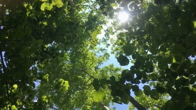 Природа Сахалина. Углезаводск. р.Найба. смотреть онлайн