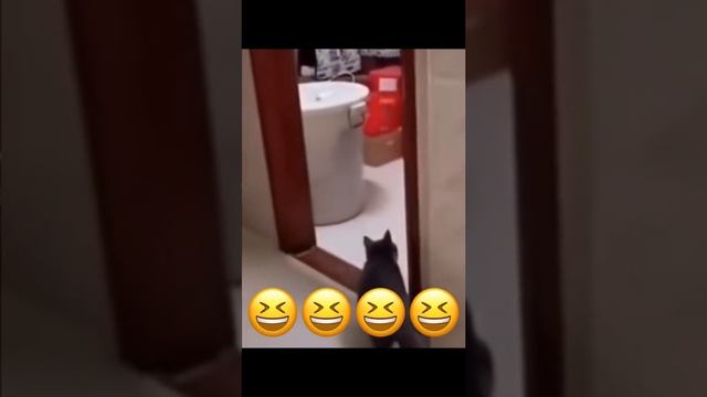 когда жена ругается и ребенок повторяет