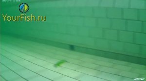 Воблер Kosadaka Meta XS 80F