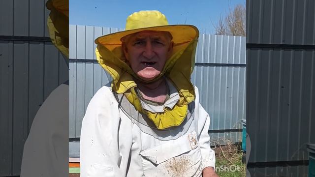 Весенние лечение пчёл от клеща смотреть онлайн