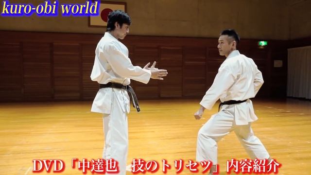 Mysterious but Real! Amazing theory of BUDO KARATE, Tatsuya Naka. With various subtitles смотреть онлайн