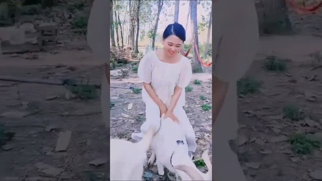 Jump on Goat Fun смотреть онлайн