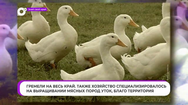 Знай свой край / Пухово смотреть онлайн