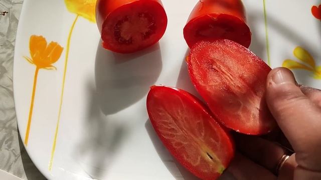 Грибной квест