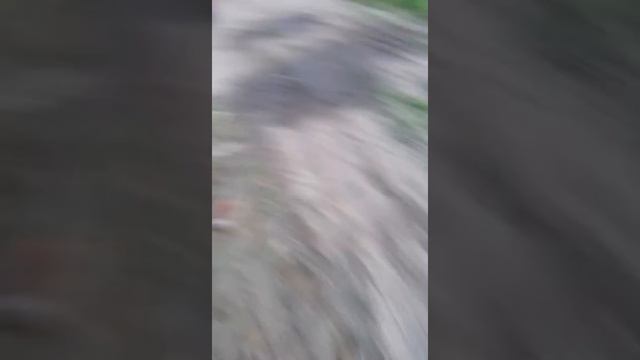 Хово о замене масла