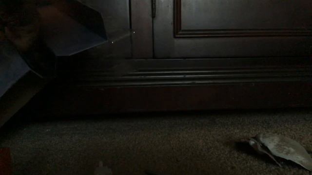 Opening MINECRAFT DUNGEONS Redstone MONSTROSITY смотреть онлайн