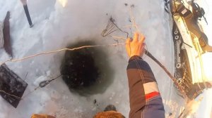 самый большой налим. НАЛИМ НА ПЕРЕМЕТ. ловля налима.