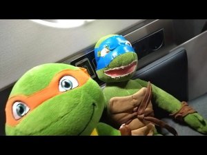 ЧЕРЕПУХУС В ПОЕЗДЕ 7