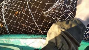 Весна, Рыбалка на фитили, Охота на уток