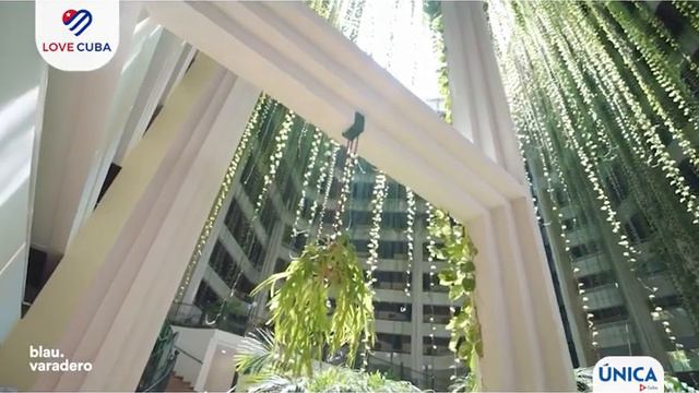 Blau Varadero - Love Cuba