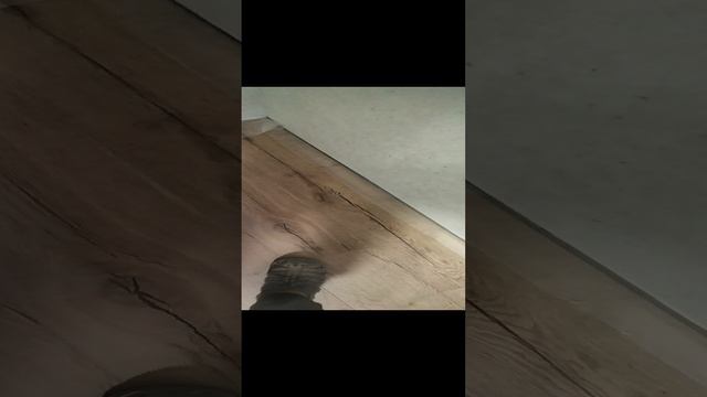 VID_20230729_140405.mp4