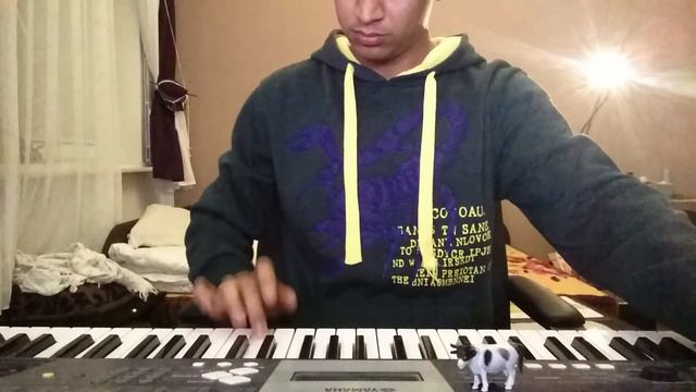 Me Enamoré - Shakira, Keyboard Cover by mcbais смотреть онлайн