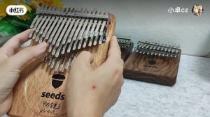 seeds  kalimba    41 key chromatic
