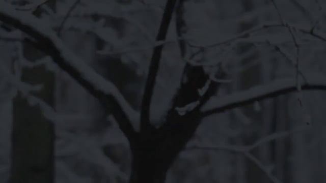 In love with snow | Nikon D90 SAMPLE VIDEO with 50mm lens f1.8 D смотреть онлайн