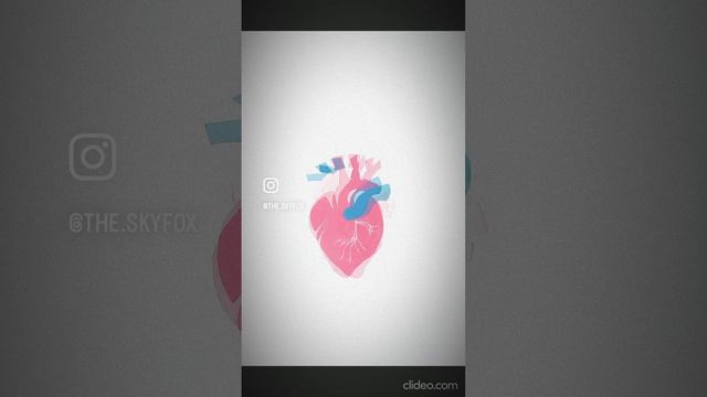 Сердце|Скай Фокс смотреть онлайн