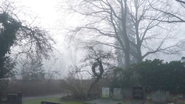 К чему снится кладбище? Кладбище во сне ? Сонник ? Толкование снов ? смотреть онлайн