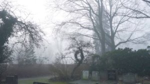 К чему снится кладбище? Кладбище во сне ? Сонник ? Толкование снов ?