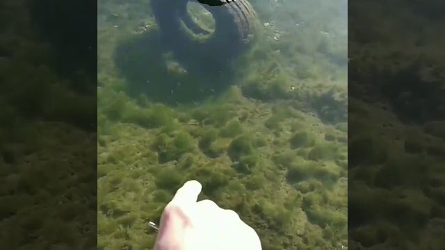 Изумрудные рифы загадочной речушки ).mp4 смотреть онлайн