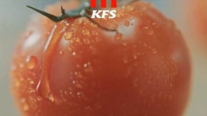 KFS Дабл Шефбургер