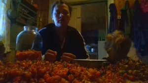#ЧИСТИМ МОРОШКУ И БОЛТАЕМ!