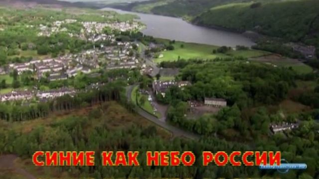 Цветы смотреть онлайн