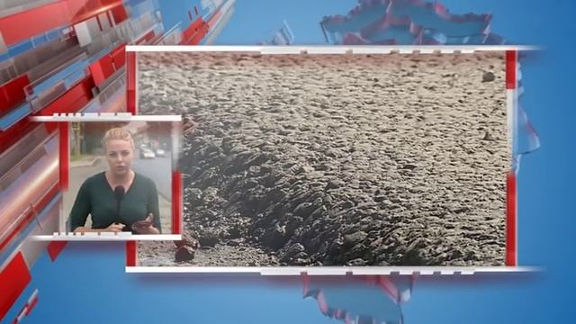 Первый замминистра транспорта России Евгений Дитрих проверил качество ремонта дорог в регионе смотреть онлайн