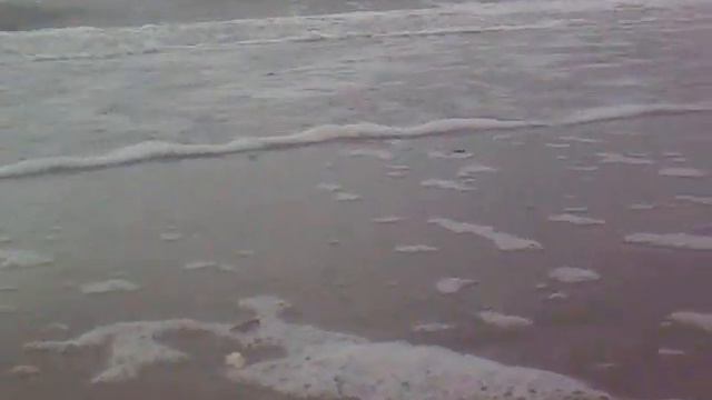 Море ноябрь.mp4 смотреть онлайн