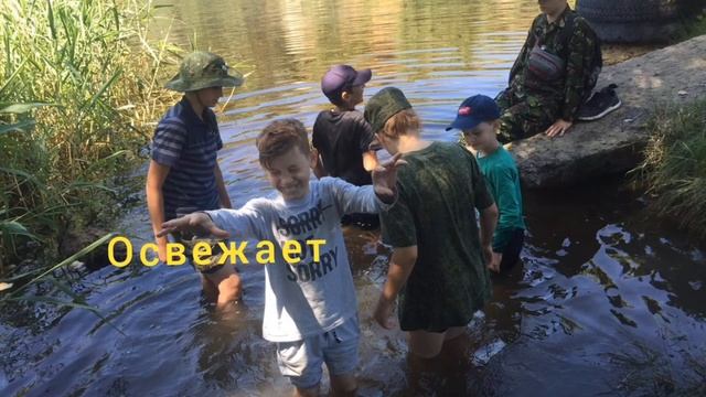 агролес смотреть онлайн