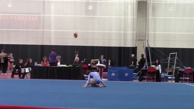 2013 Ava Caravela Region 7 Level 9 Floor Routine смотреть онлайн