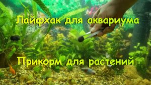 Лайфхак для аквариума "Прикорм для растений".