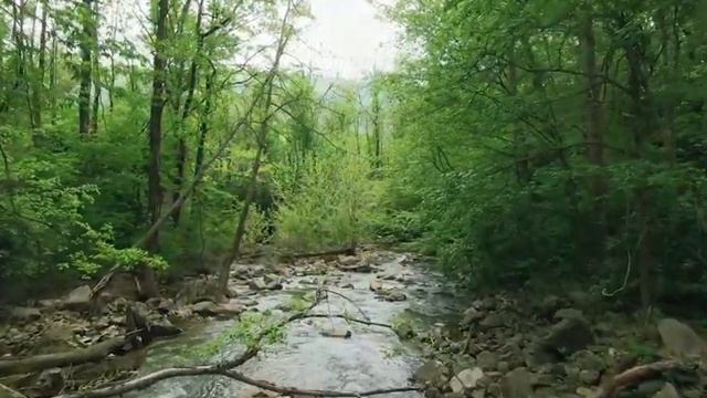 Music for relaxation and meditation ↔Музыка для раслабления и медитации. смотреть онлайн