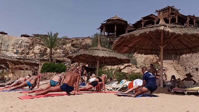 Шарм Эль Шейх El Faraana reef 2021.03. смотреть онлайн