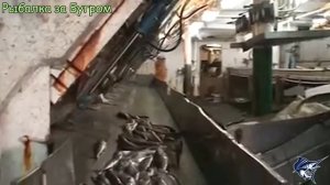 ВОТ ЭТО РЫБАЛКА!!! / ПРОМЫСЛОВАЯ РЫБАЛКА В МОРЕ / МНОГО РЫБЫ