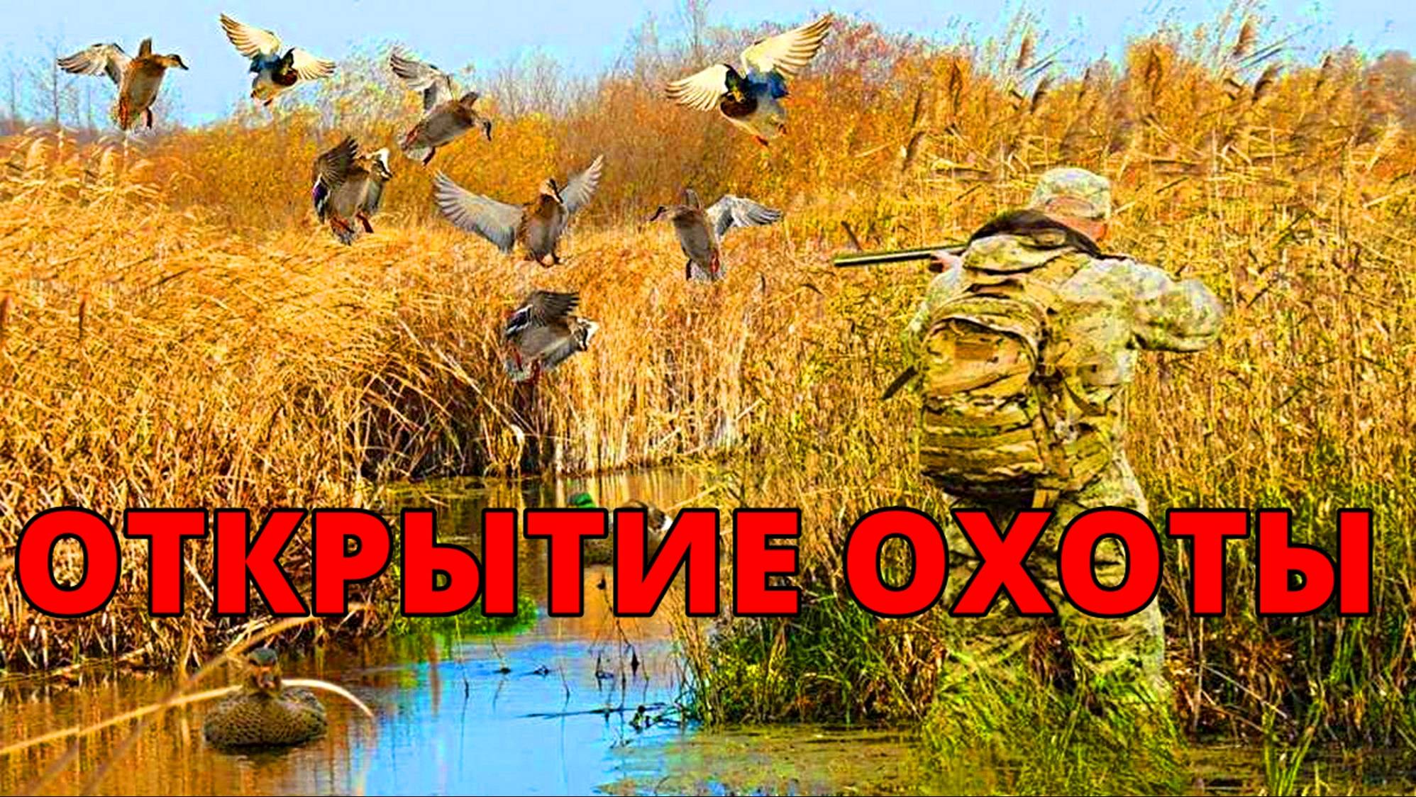 Открытие охоты осенью на утку! Охота на утку в дружной и большой компании! смотреть онлайн