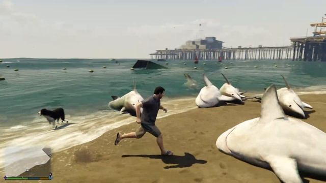 Grand Theft Auto V (Michael Kill Tiger Shark) Tiger Shark On The Seashore - GTA 5 Games Videos смотреть онлайн