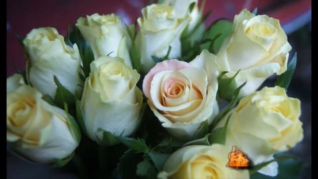 Танюшка, с днём рождения! смотреть онлайн