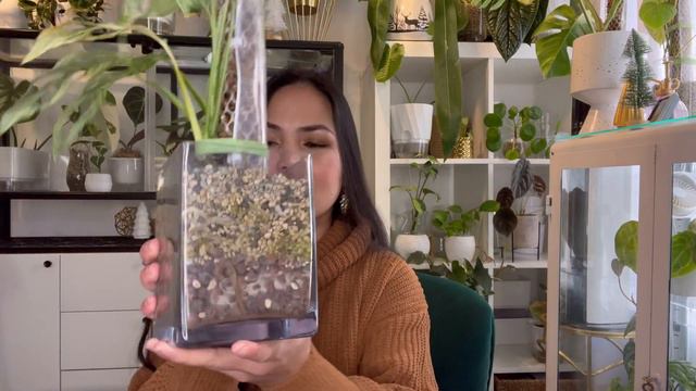 💚 10 RARE Plants that I grew from cuttings 💚 смотреть онлайн