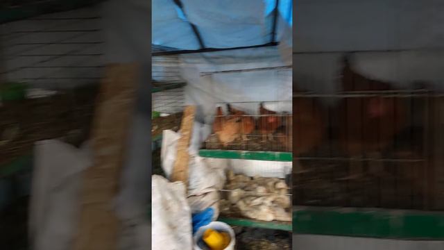 Бронницы ч 3 потребительская смотреть онлайн