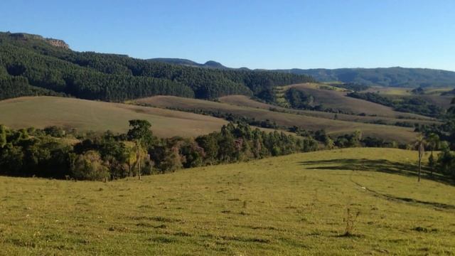 NC 700X - DOMINGO PERFEITO смотреть онлайн