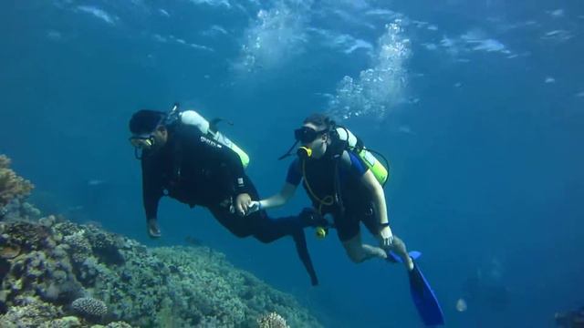 Первое погружение с аквалангом ч.2 смотреть онлайн