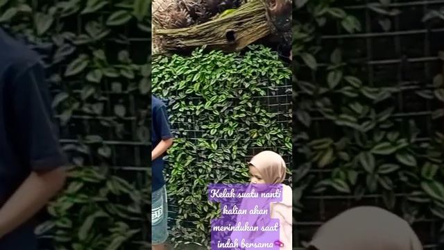 Wisata Asia Afrika Lembang Bandung - The Best Place to Visit in Bandung, Indonesia! смотреть онлайн