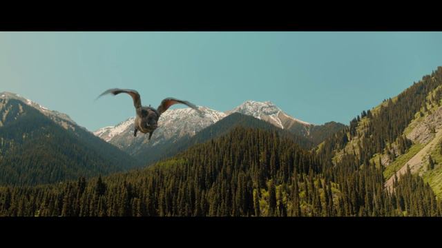 Финист. Первый богатырь. смотреть онлайн