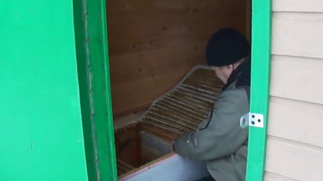 Отбор мёда 2015 Апидомик смотреть онлайн