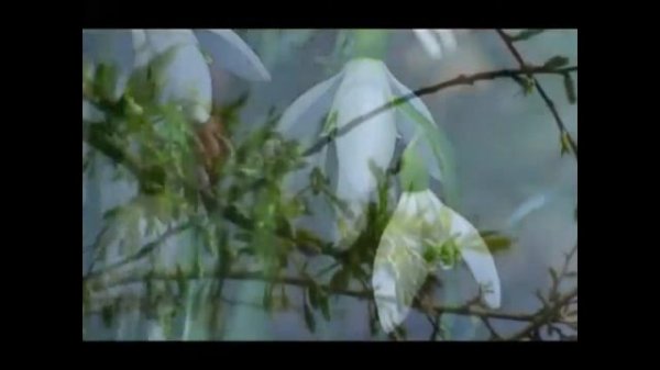 Загрязнение природы