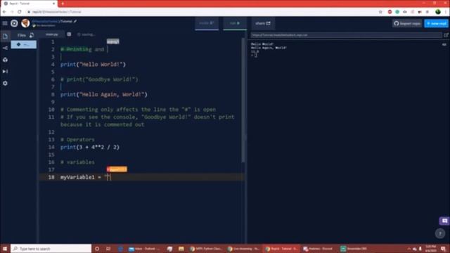 Python Class Day 1: Operators and Variables смотреть онлайн