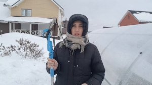 #6'2019 Нужен ли в хозяйстве ВЫСОТОРЕЗ?